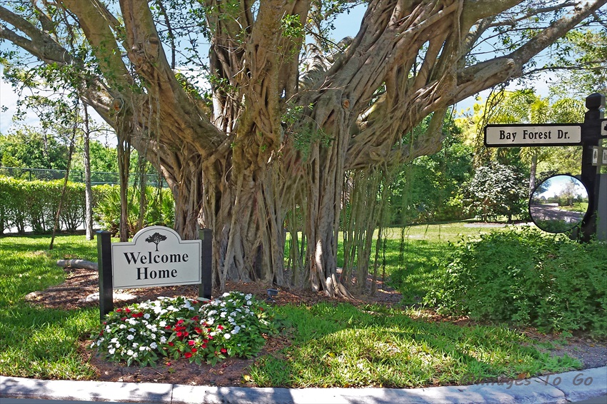 bay forest welcome