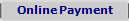 Online Payment