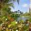 Crown Colony 4 (4272 x 2848).jpg